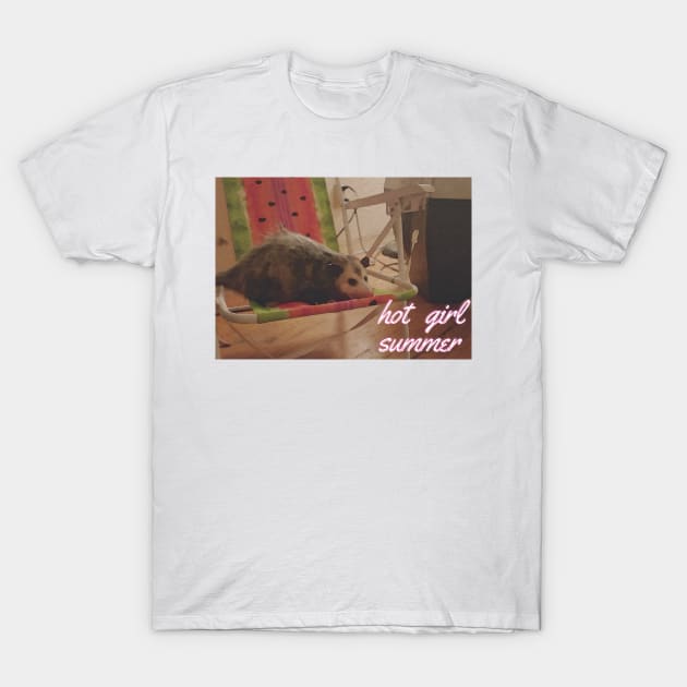 hot girl summer possum edition T-Shirt by goblinbabe